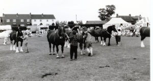 Worstead Festival