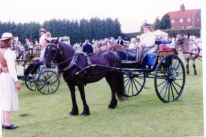 Worstead Festival